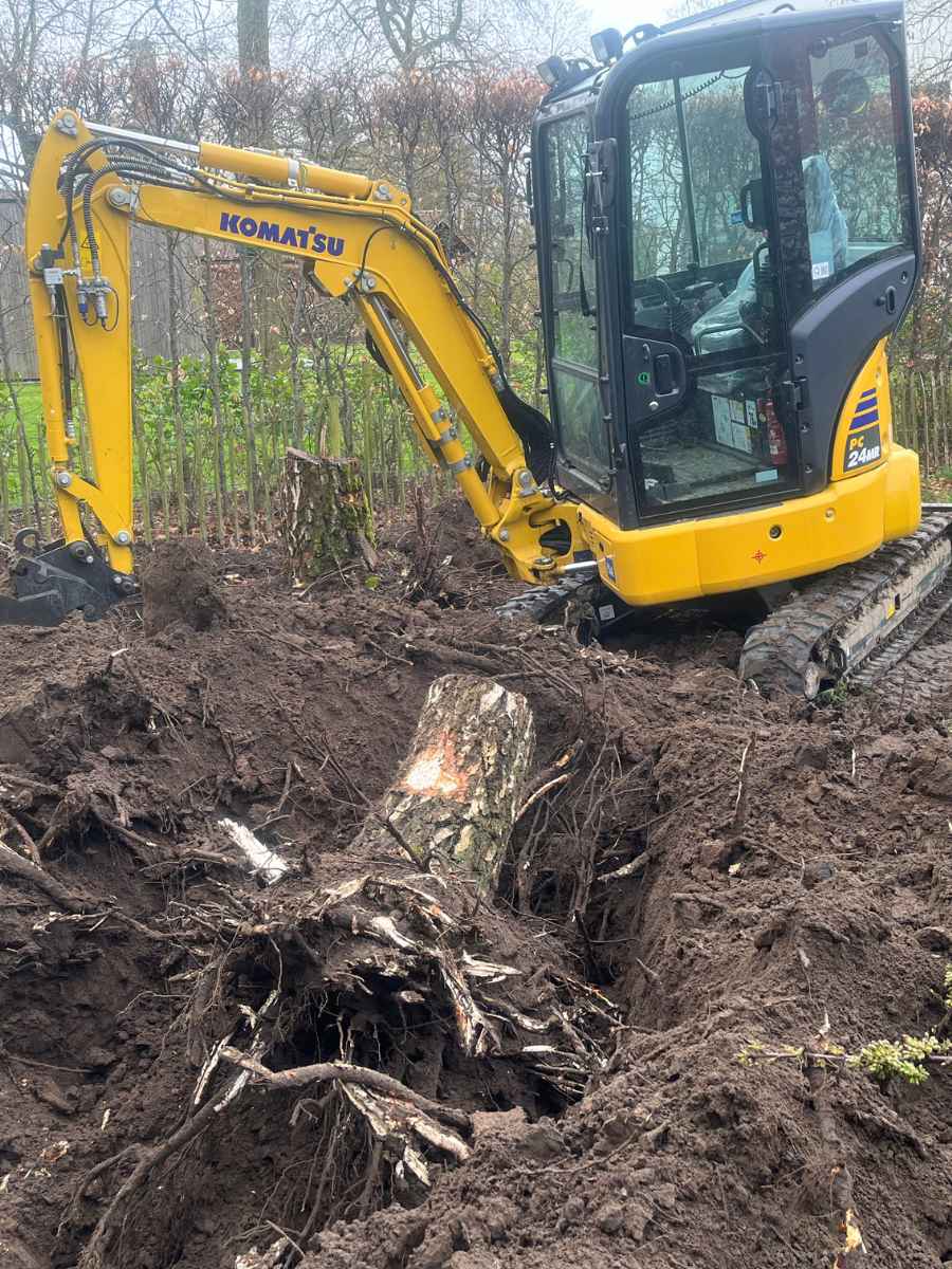 JDC BV verwijdert een boomstronk met wortels uit de grond met een graafmachine.