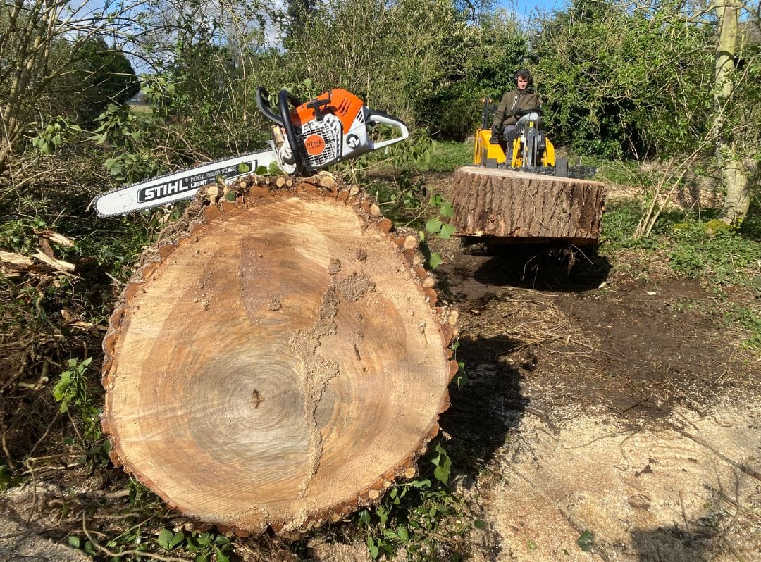Grote gevelde boomstam met kettingzaag en graafmachine tijdens boomwerken van JDC BV.