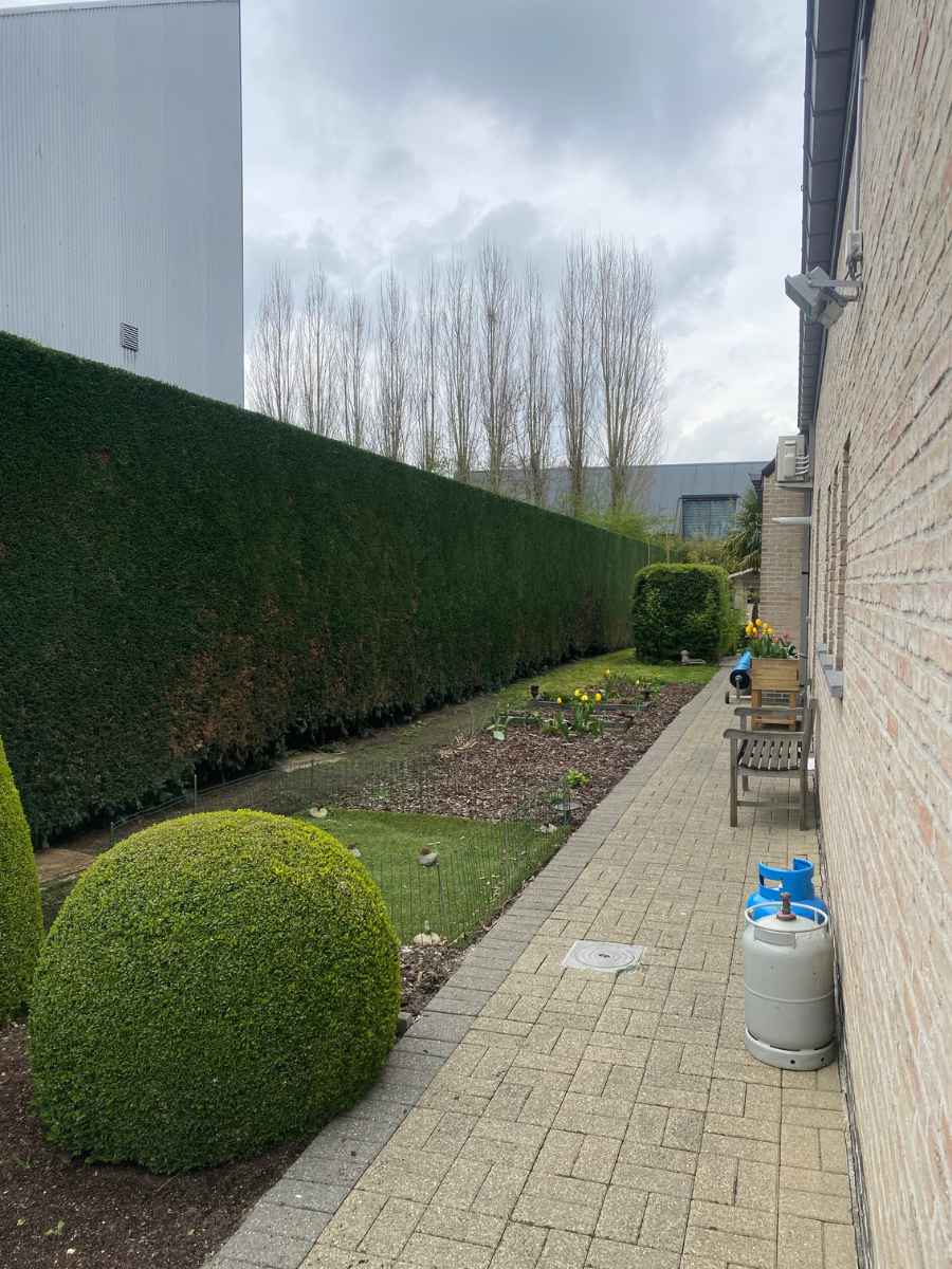 Verzorgde tuin met strak gesnoeide hagen en beplanting, onderhouden door JDC BV.