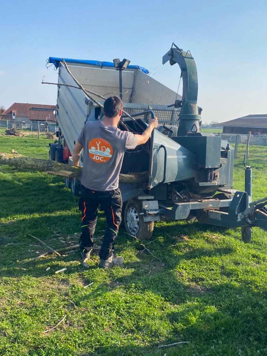 Medewerker van JDC BV snoeit takken van een hoge boom met een kettingzaag.