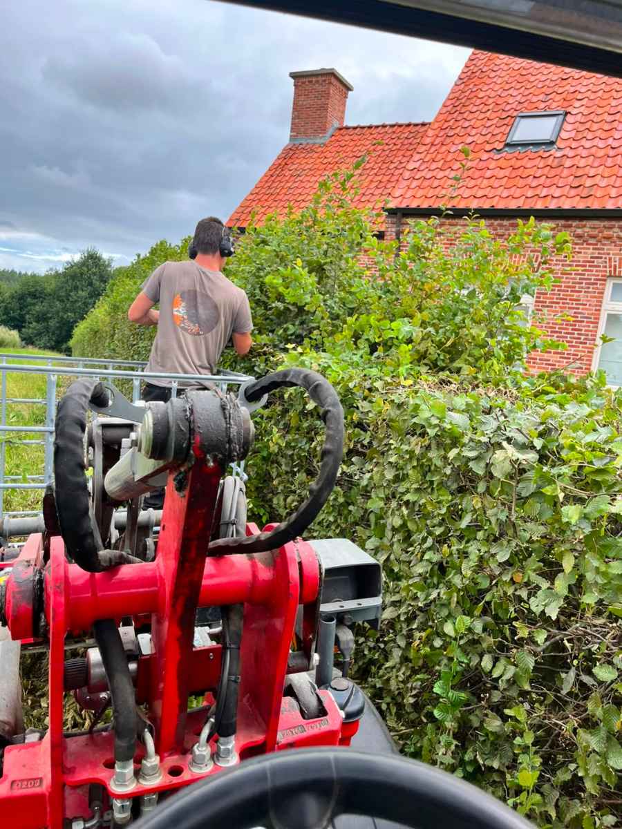 Hagen professioneel snoeien door JDC BV Medewerker van JDC BV snoeit een hoge haag met professioneel tuinmateriaal.
